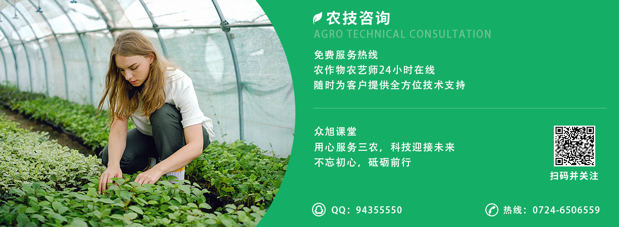 众旭课堂
